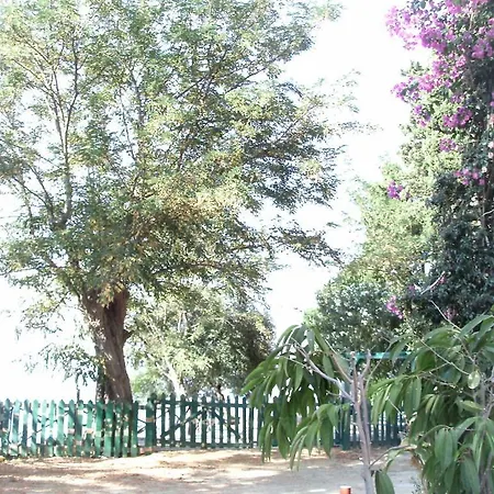 Residenza Salomone Apartment Pizzo (Calabria)